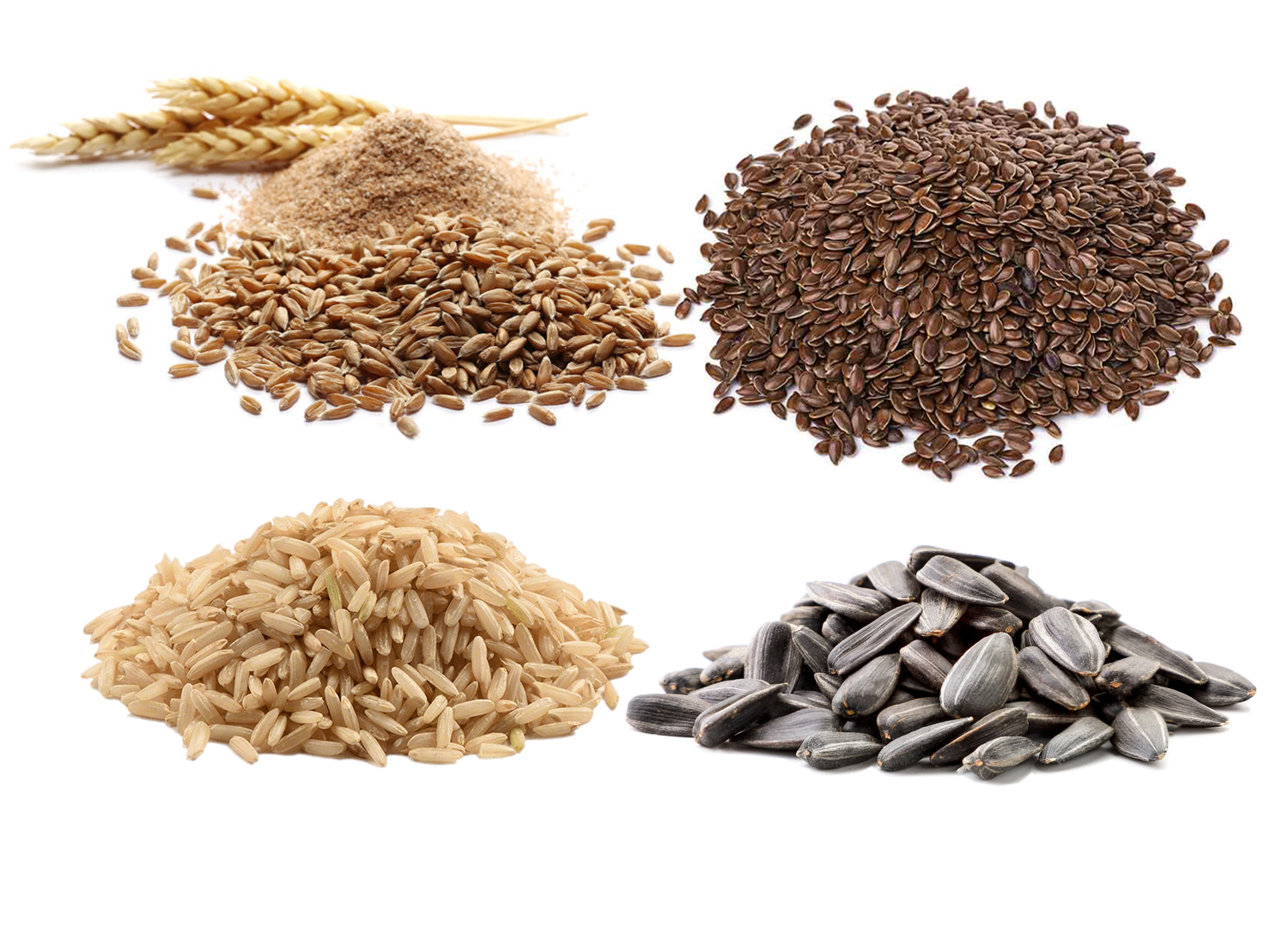 Seeds and Grains